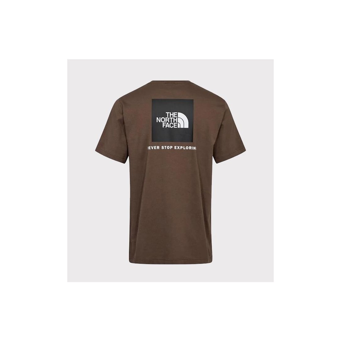 THE NORTH FACE REDBOX TEE MARRON