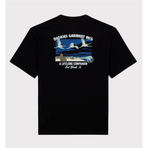 DICKIES COMPANION TEE NEGRO