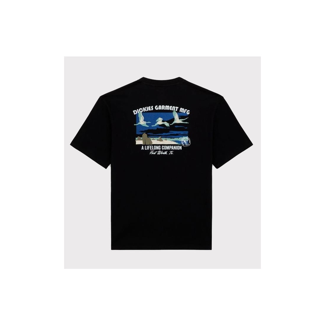 DICKIES COMPANION TEE NEGRO