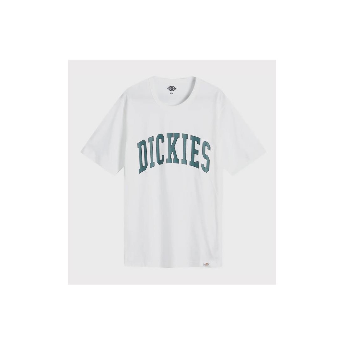 DICKIES AITKIN TEE BLANCO