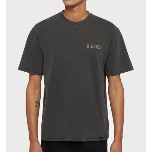 DICKIES HIGH FLYING WORKWEAR GRIS 2