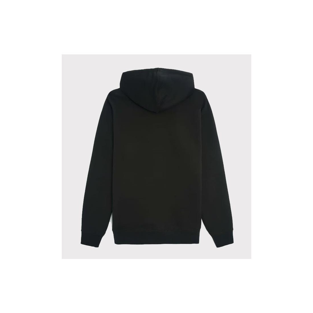 DICKIES OAKPORT HOODIE NEGRO