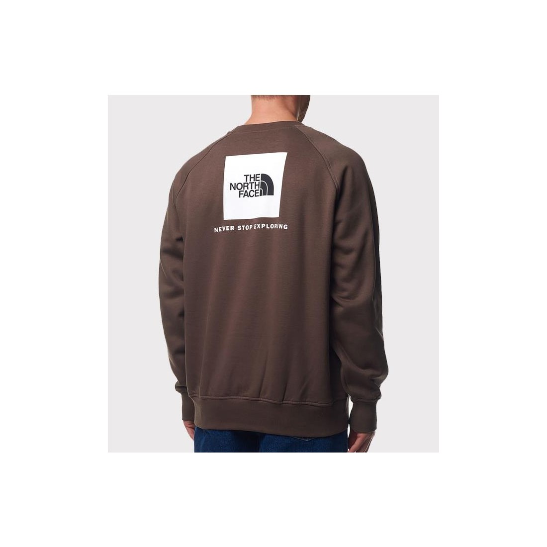 THE NORTH FACE RAGLAN REDBAX MARRON