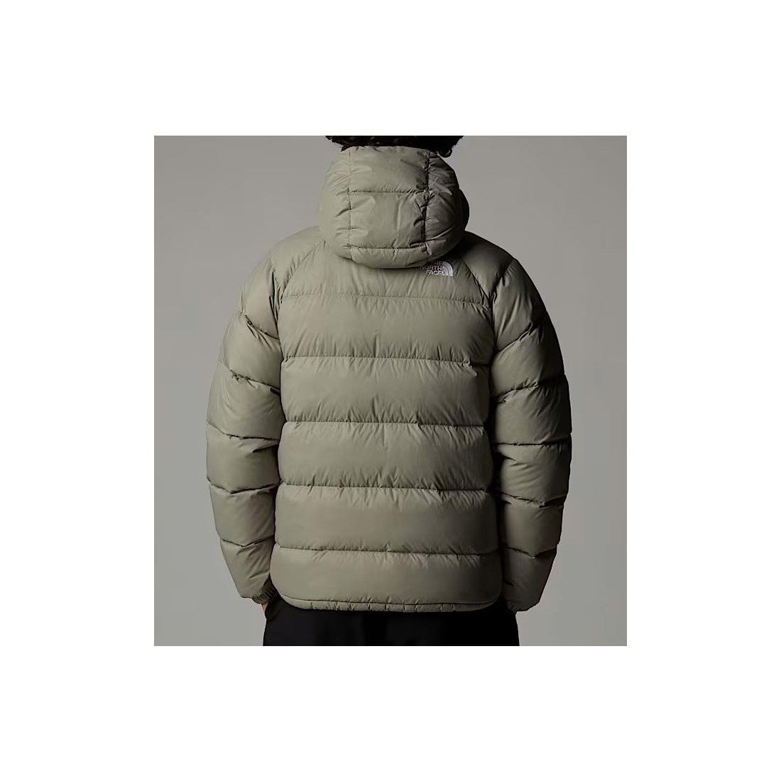 THE NORTH FACE HYDRENALITE HDY GRIS