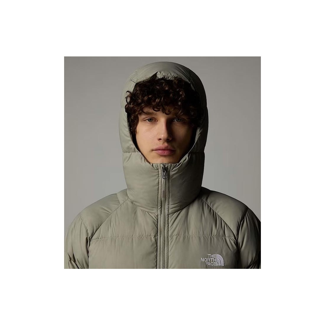 THE NORTH FACE HYDRENALITE HDY GRIS