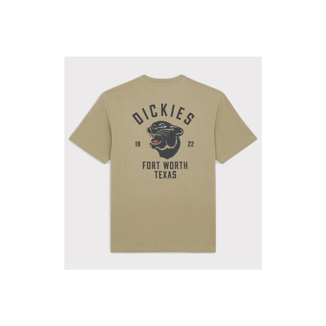 DICKIES PANTHER TEE VERDE