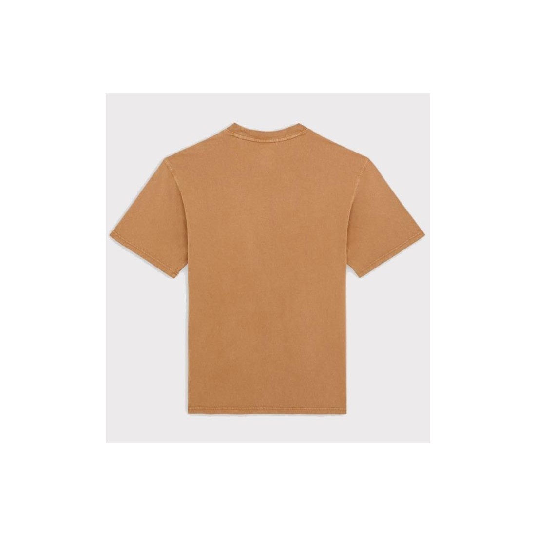 DICKIES PLENTYWOOD TEE MARRON