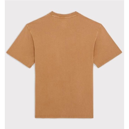 DICKIES PLENTYWOOD TEE MARRON