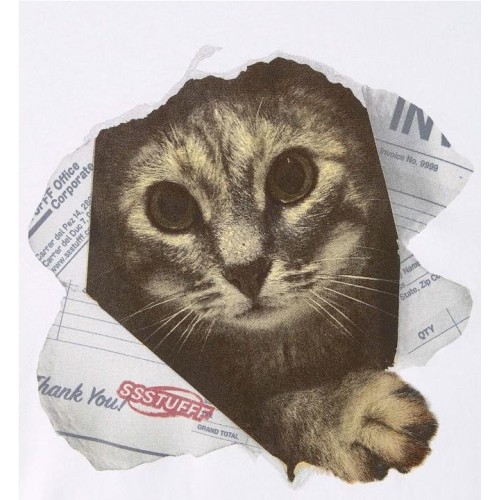 SSSTUFFF PAPER CATS TEE BLANCO