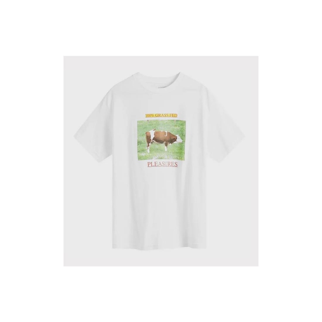 PLEASURES GRASS FED TEE BLANCO