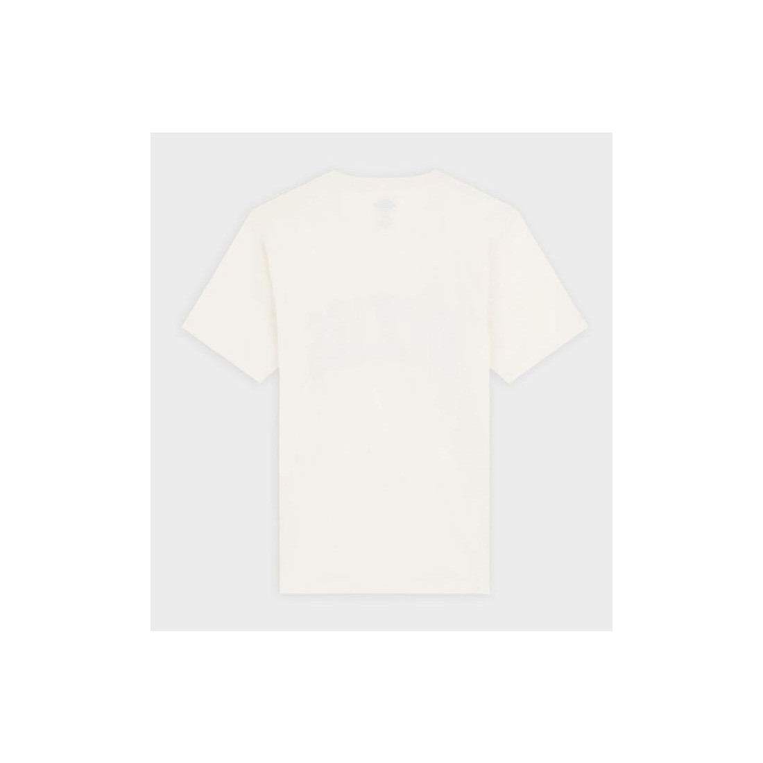 DICKIES AITKIN TEE BEIGE