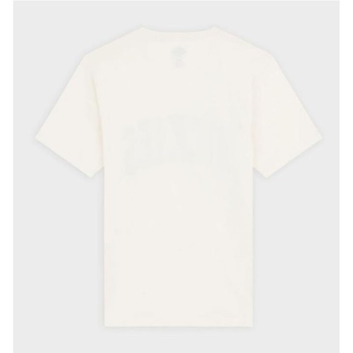DICKIES AITKIN TEE BEIGE