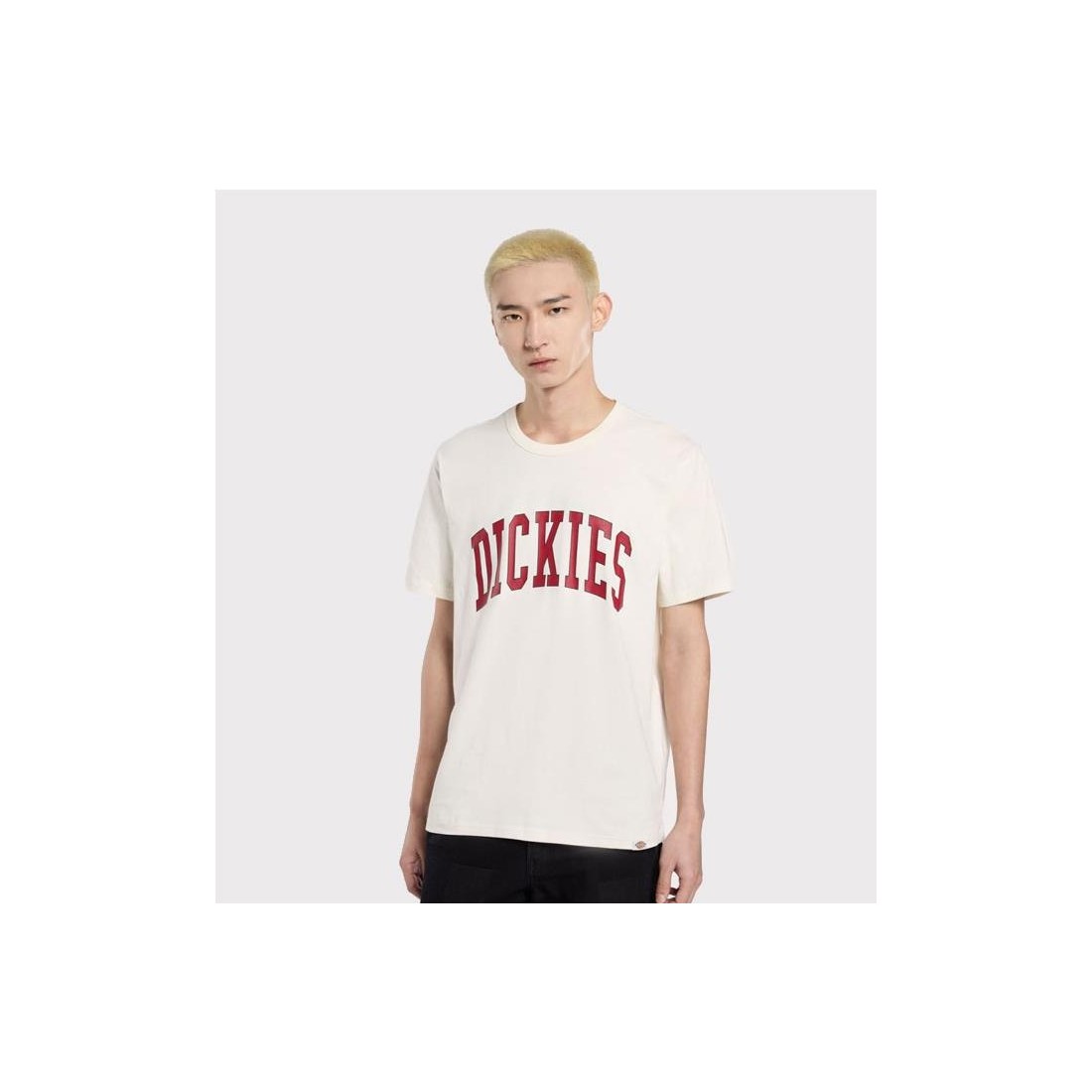 DICKIES AITKIN TEE BEIGE