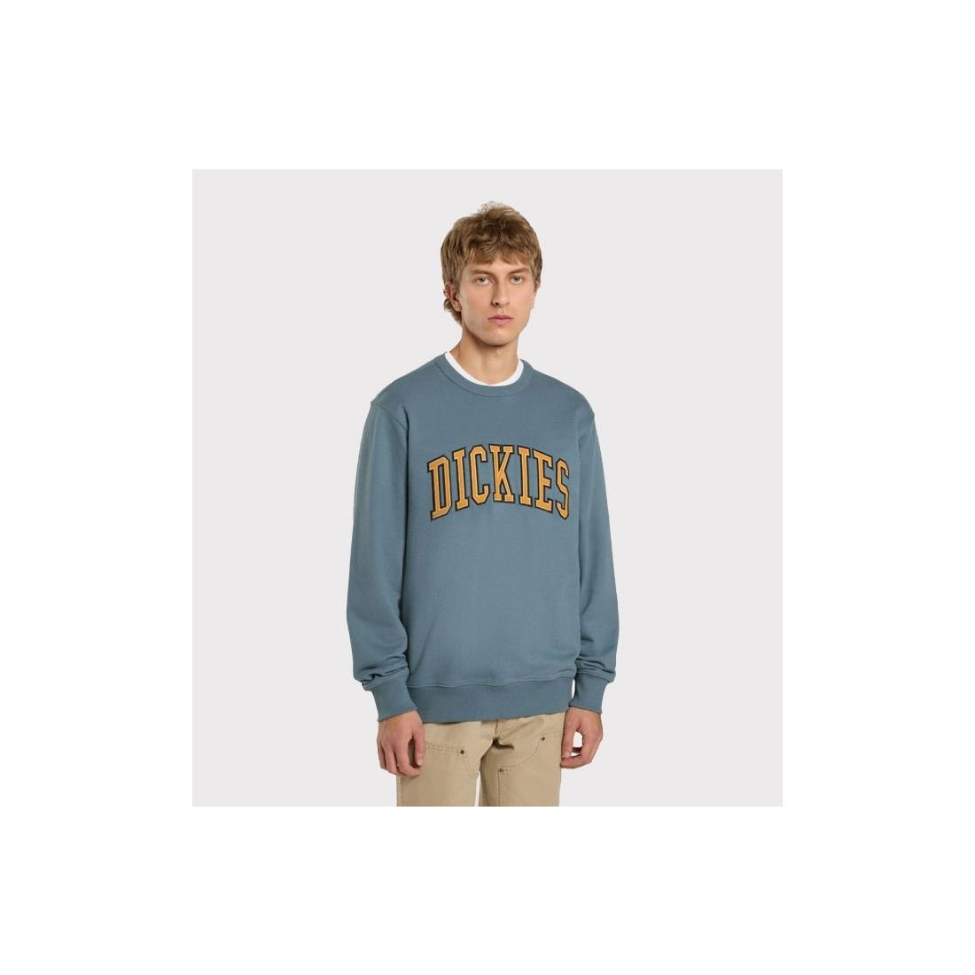 DICKIES AITKIN SWEATSHIRT AZUL