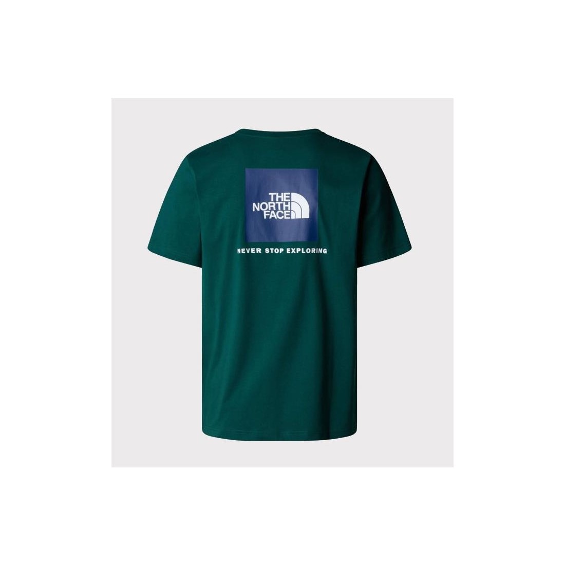 THE NORTH FACE BOX NSE TEE VERDE