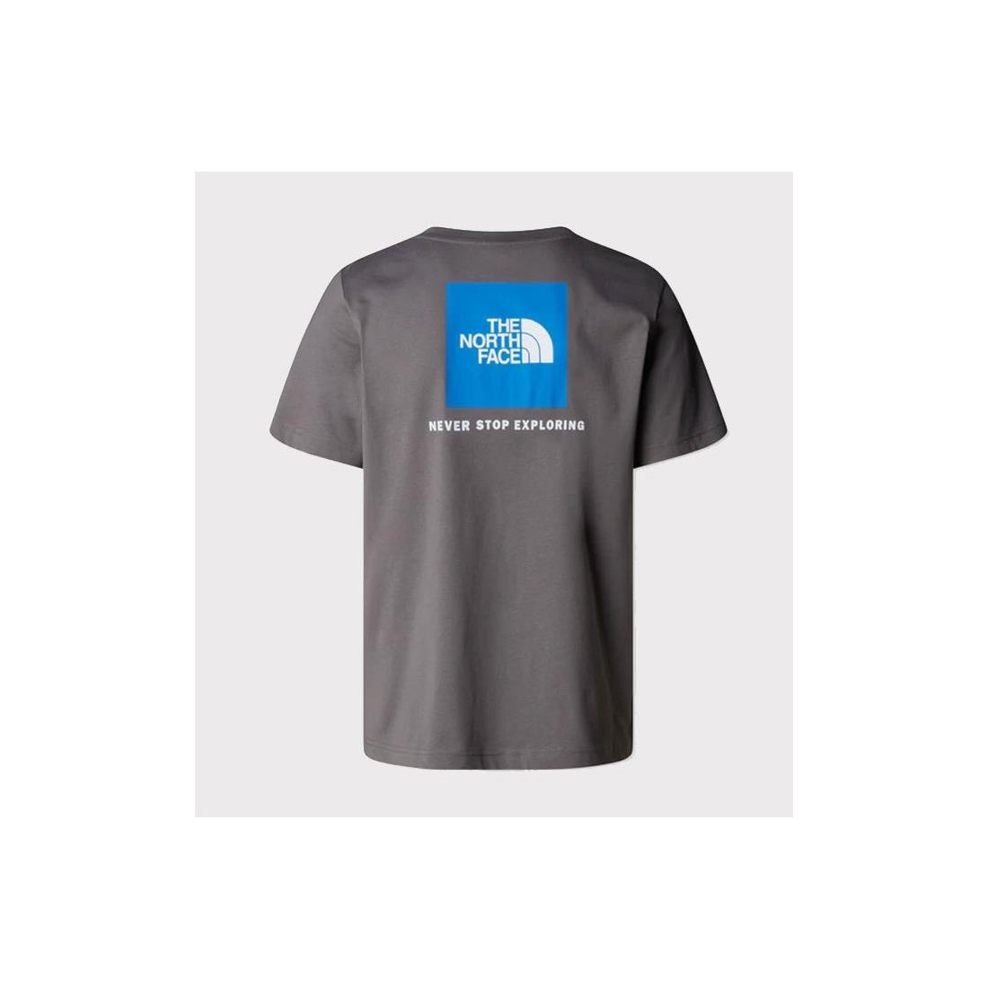 THE NORTH FACE REDBOX TEE GRIS