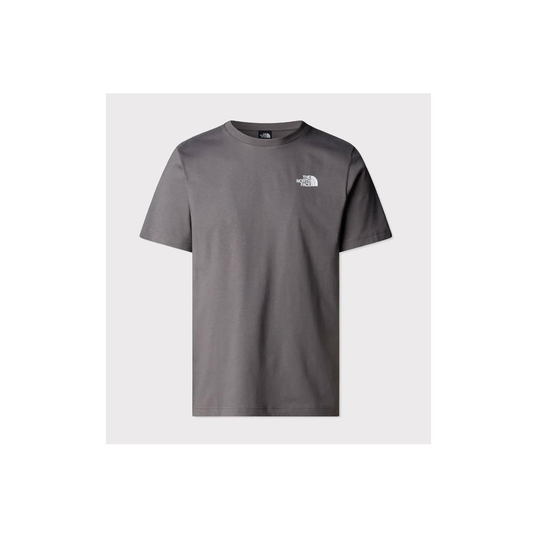 THE NORTH FACE REDBOX TEE GRIS