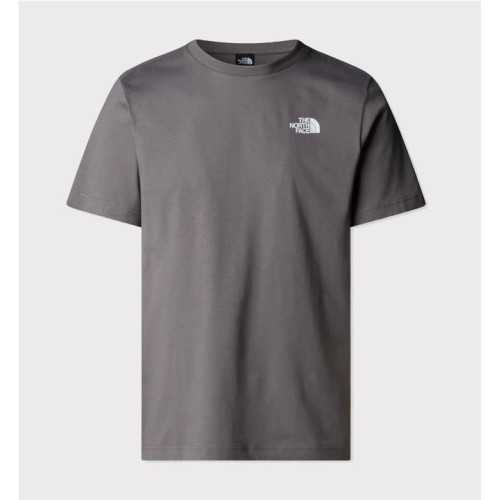 THE NORTH FACE REDBOX TEE GRIS