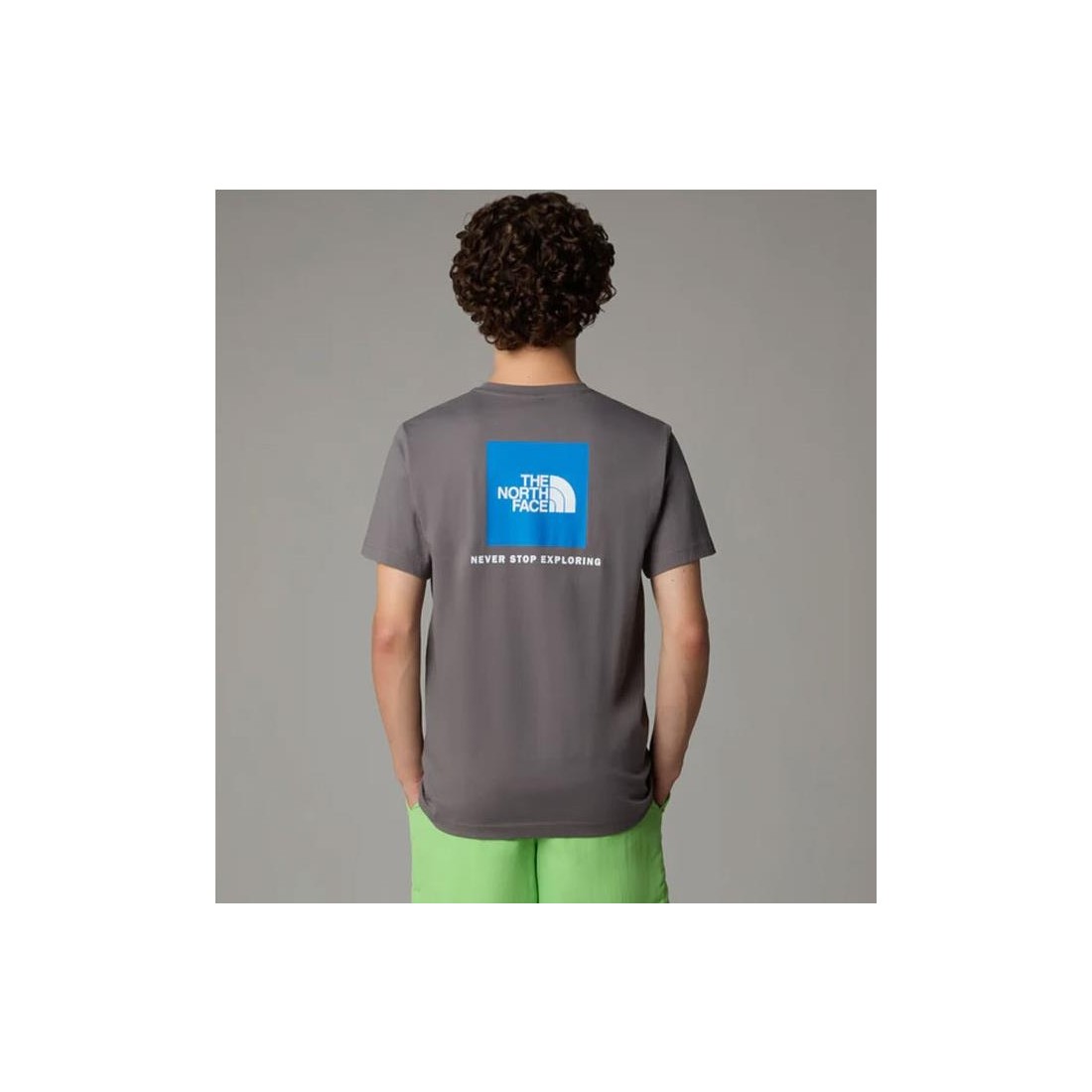 THE NORTH FACE REDBOX TEE GRIS