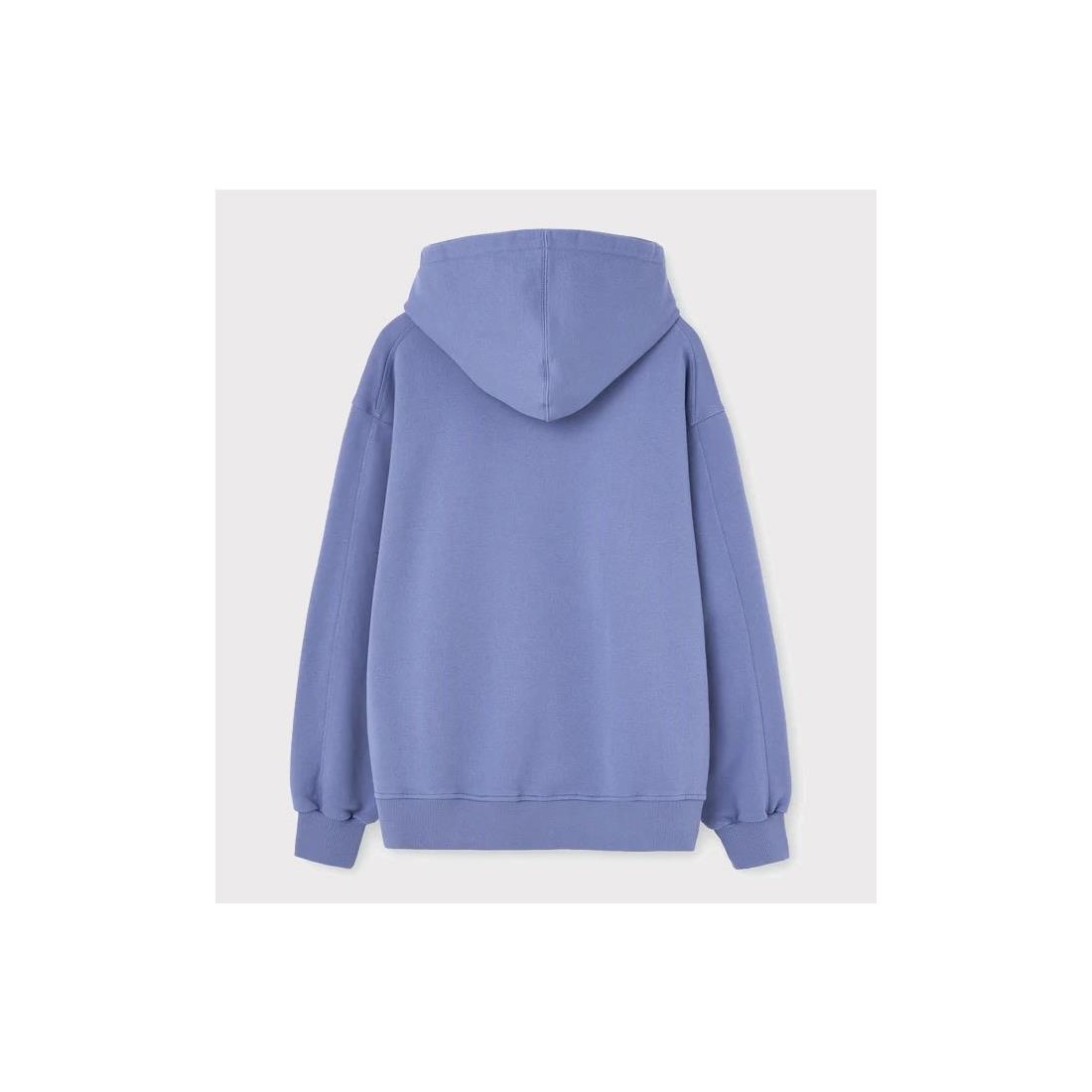 NWHR HOODIE BLUE WASHED AZUL