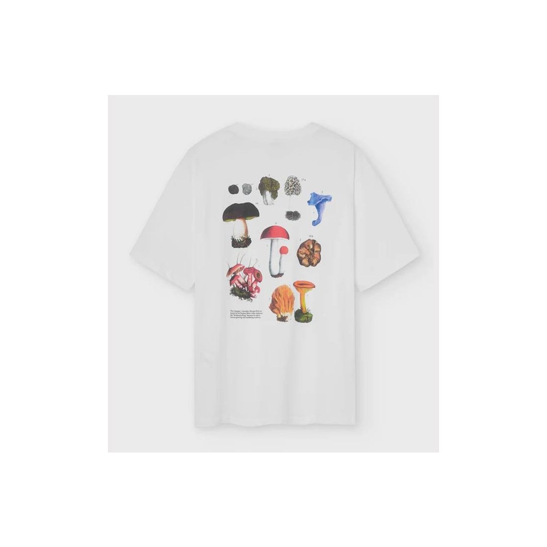NWHR FUNGUI TEE BLANCO
