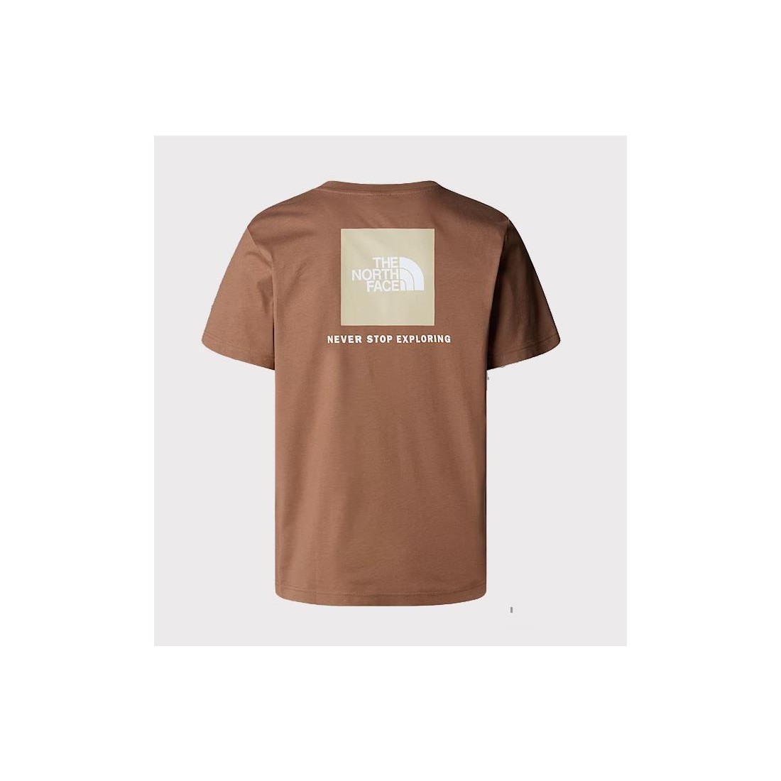 THE NORTH FACE REDBOX TEE MARRON