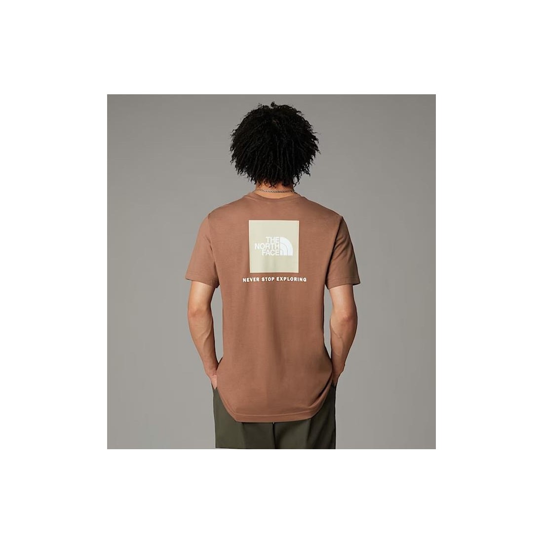 THE NORTH FACE REDBOX TEE MARRON