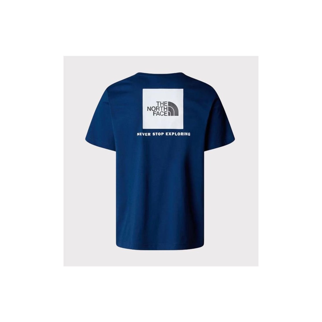 THE NORTH FACE REDBOX TEE AZUL