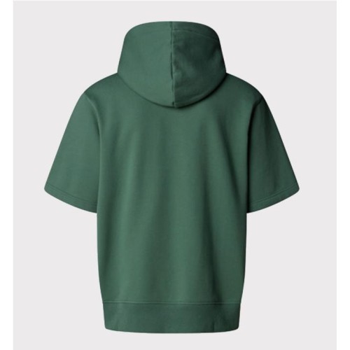 THE NORHT FACE RELAXED HOODIE VERDE 2