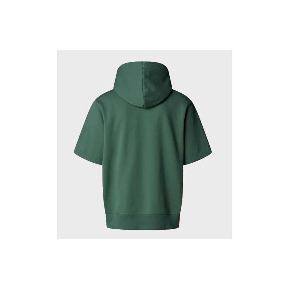 THE NORHT FACE RELAXED HOODIE VERDE