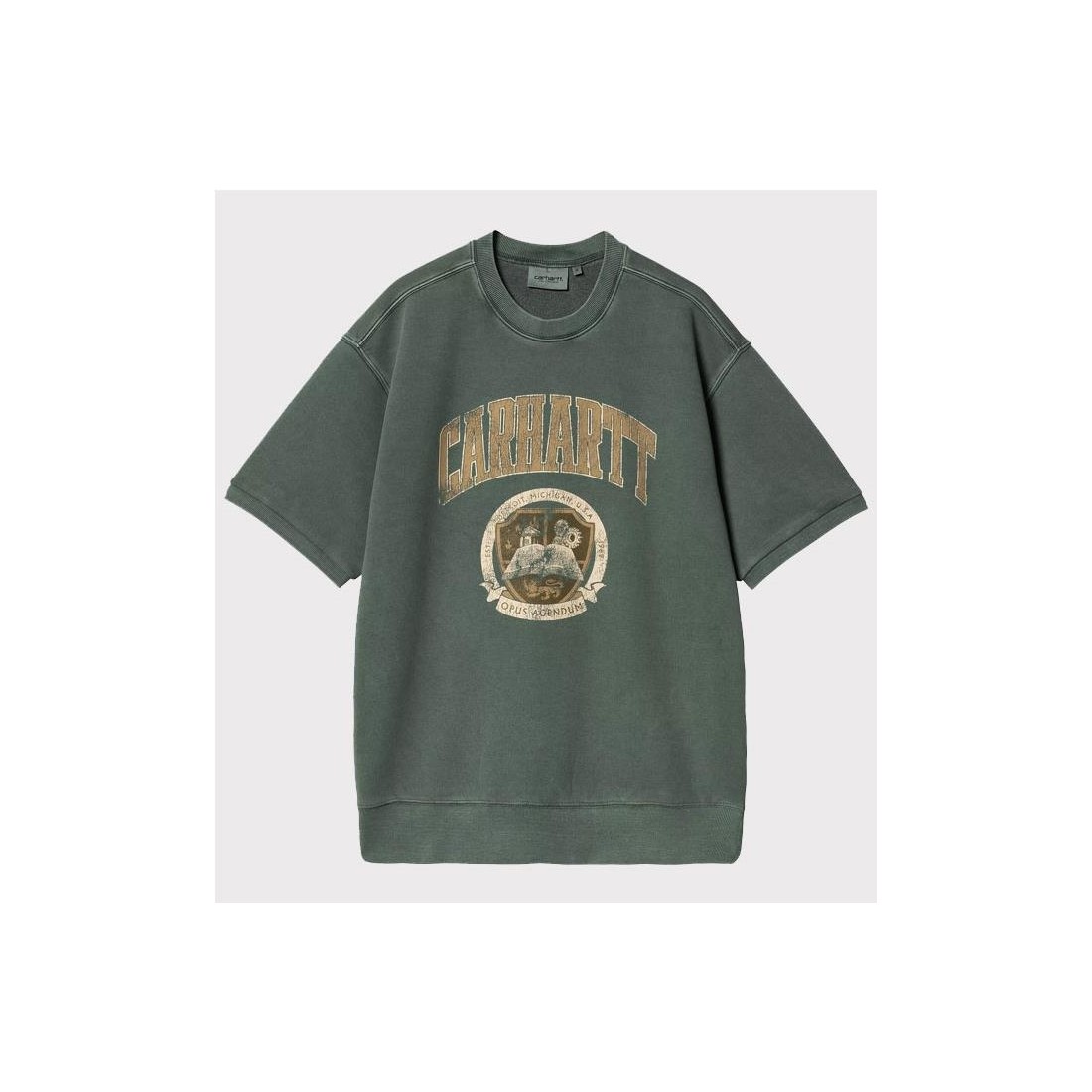 CARHARTT WIP LIBRARY SWEAT VERDE