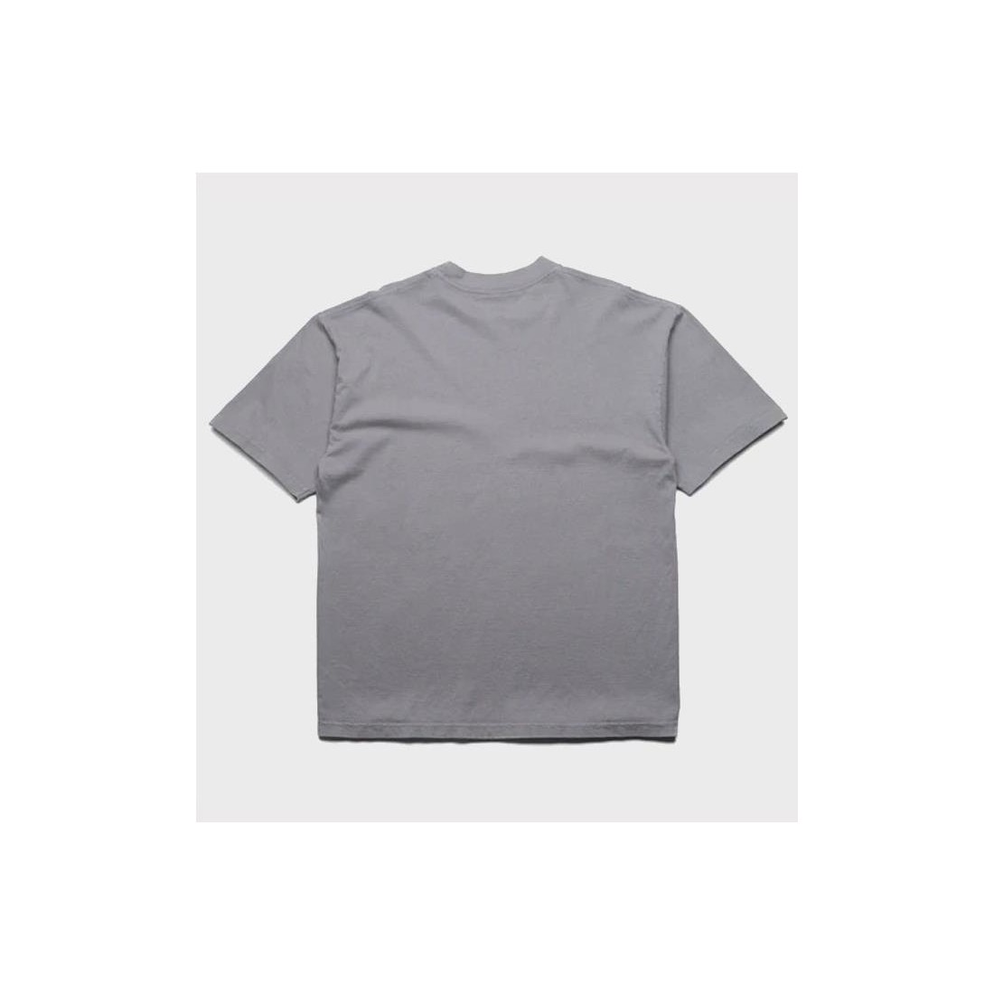 PLEASURES DUDE TEE GRIS