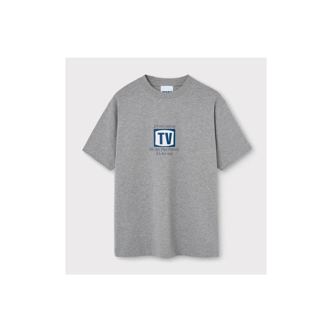 WE ARE NOT FRIENDS REAL TEE GRIS