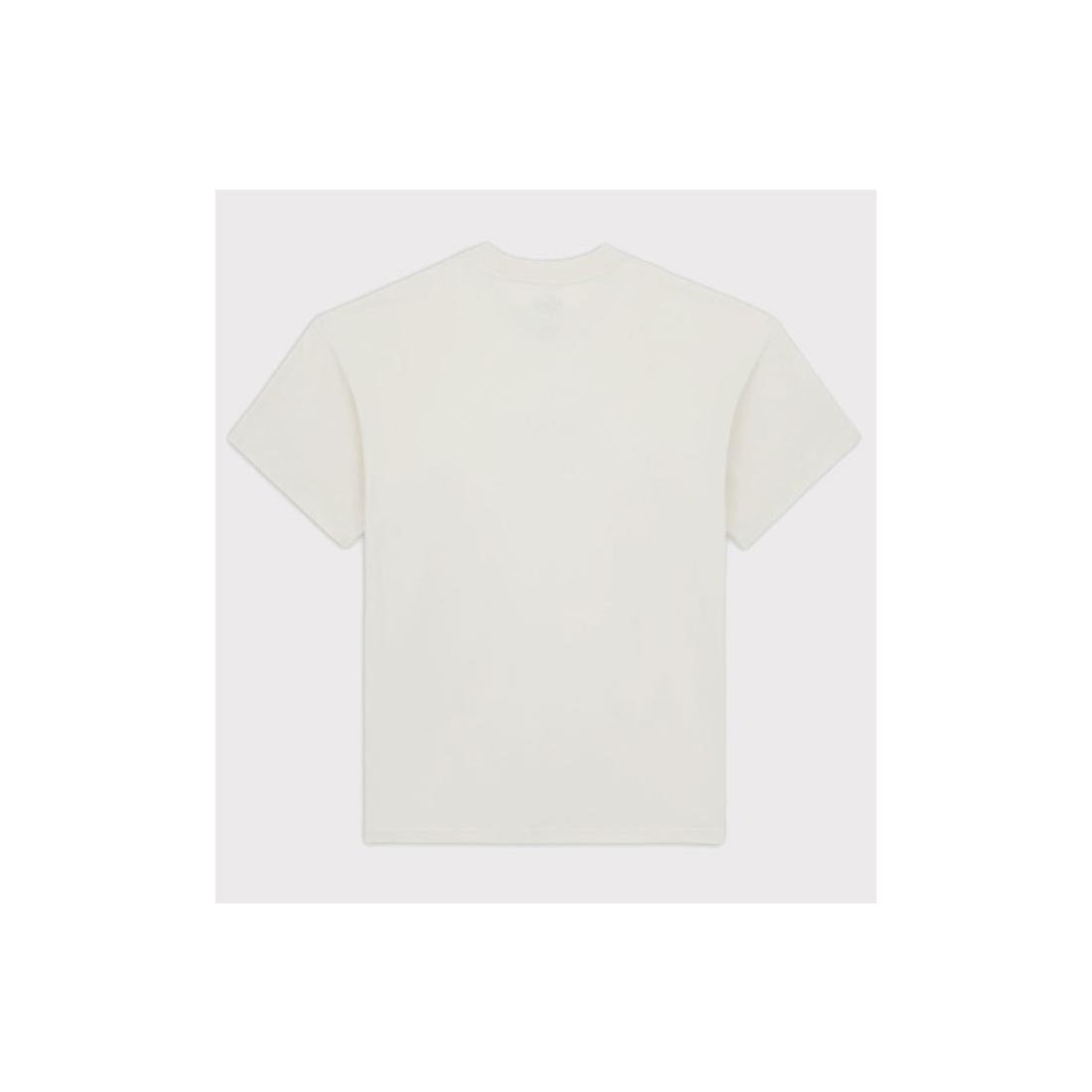 DICKIES ENTERPRISE TEE GRIS