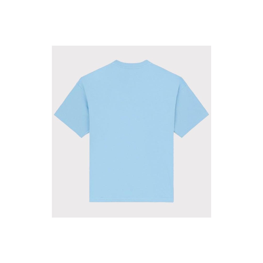 DICKIES ENTERPRISE TEE AZUL CLARO