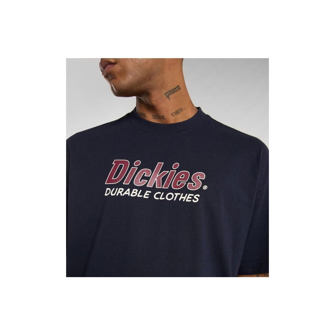 DICKIES WILLISTON TEE AZUL CLARO