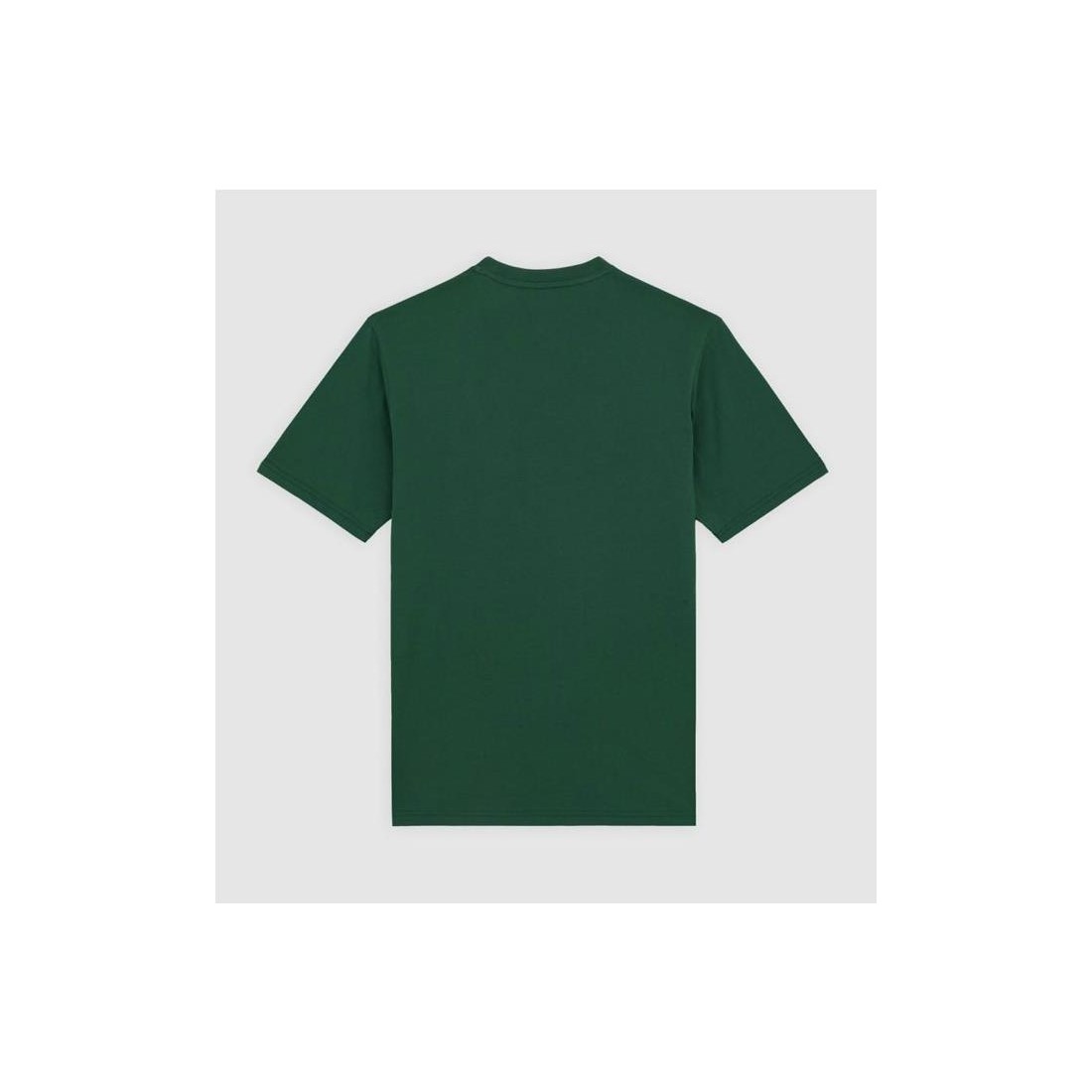 DICKIES SS MAPLETON TEE VERDE
