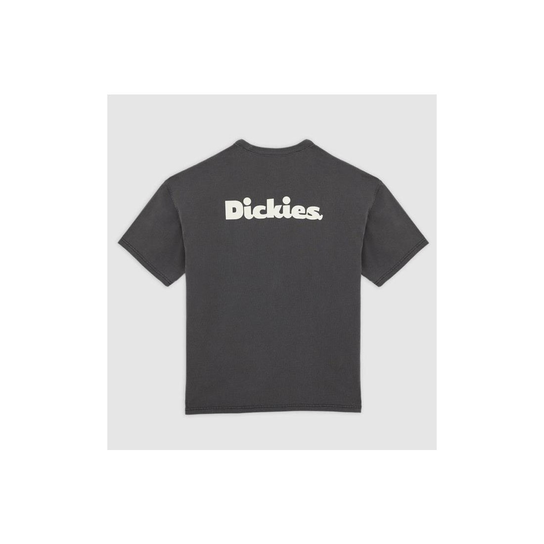 DICKIES SLAYDEN TEE NEGRO