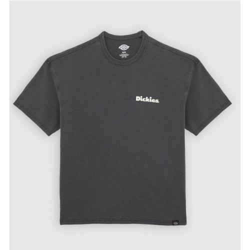DICKIES SLAYDEN TEE NEGRO