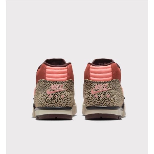 NIKE SB AIR TRAINER 1 QS MULTICOLOR
