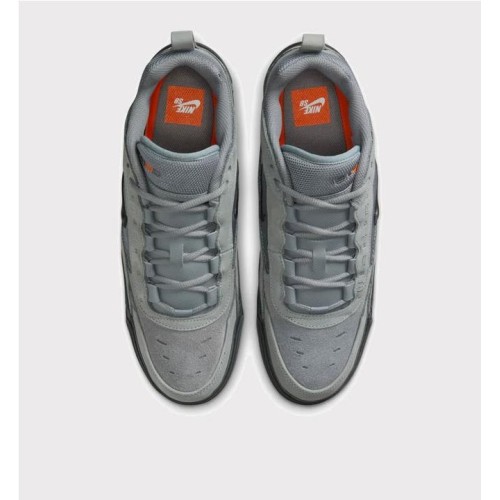 NIKE SB AIR MAX ISHOD ISO GRIS