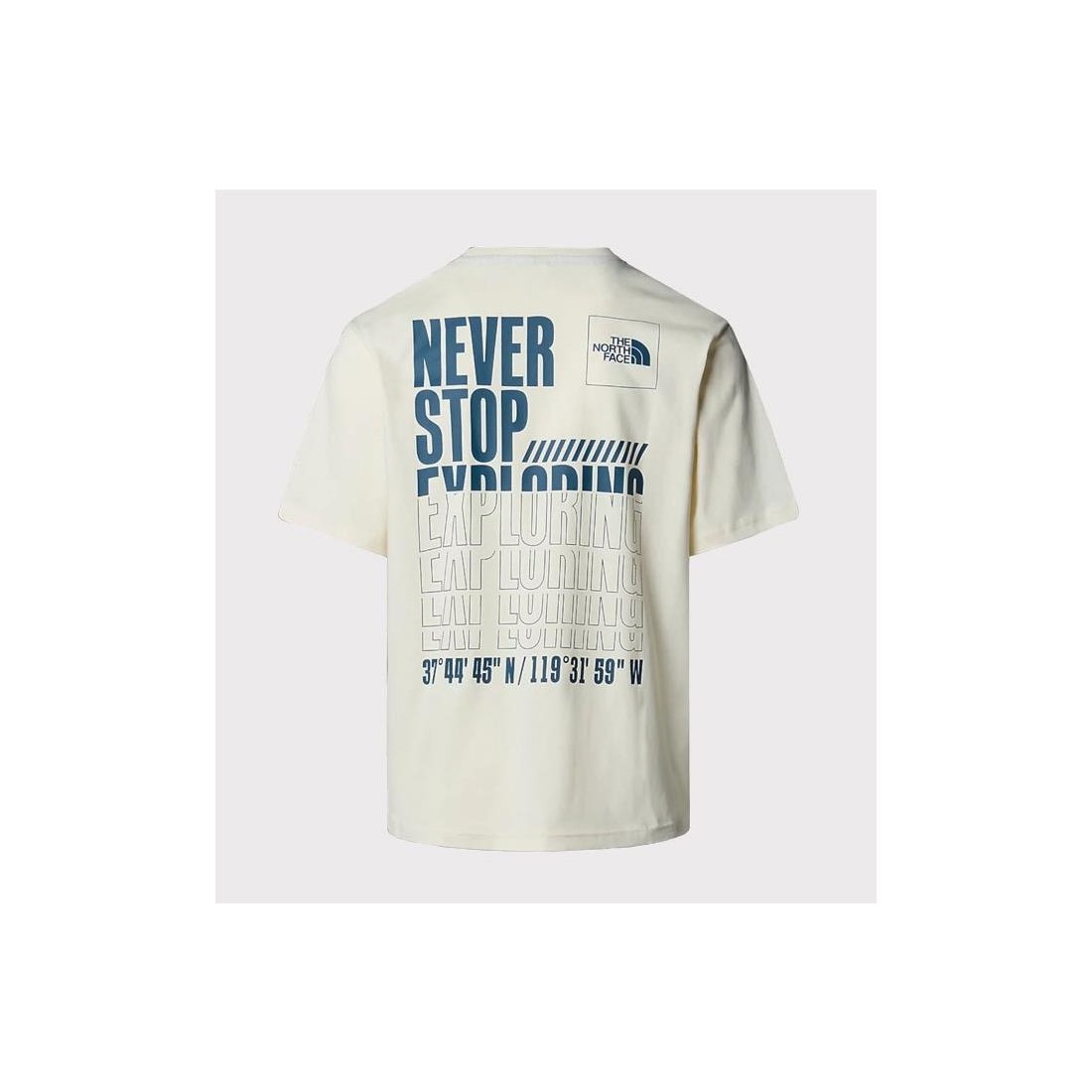 THE NORTH FACE COORDINATES TEE BEIGE