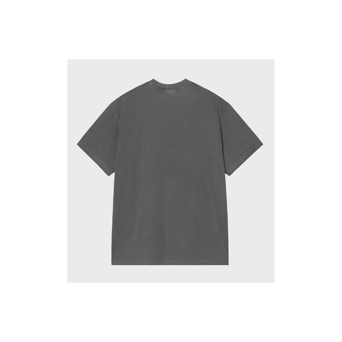 CARHARTT WIP TERRESTRIAL TEE NEGRO