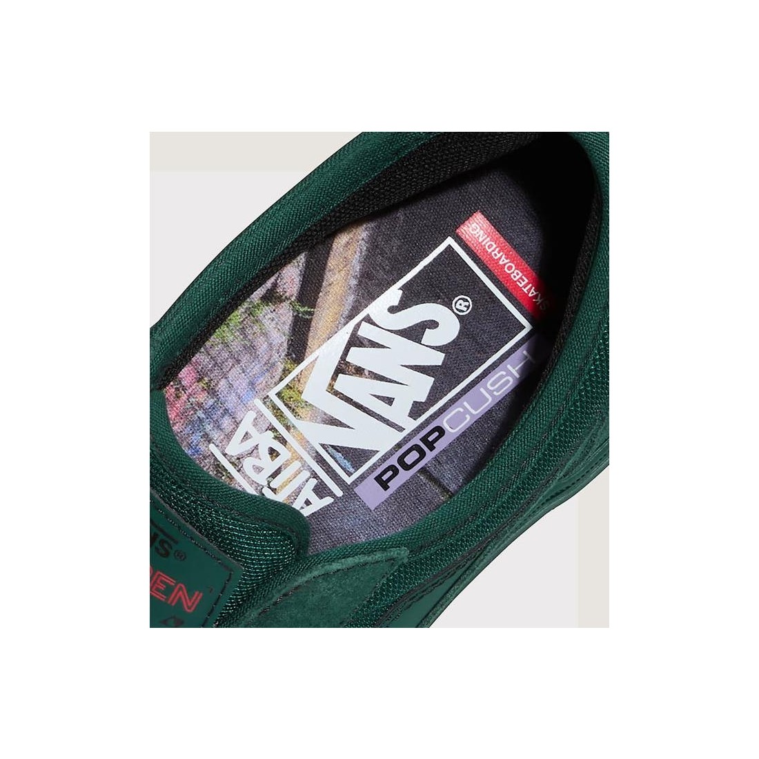 VANS SKATE CURREN CAPLES VERDE