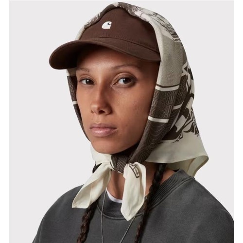 CARHARTT WIP COLD WORLD BANDAN MULTICOLOR