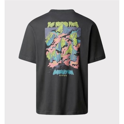 THE NORTH FACE EXPED CELBR TEE GRIS