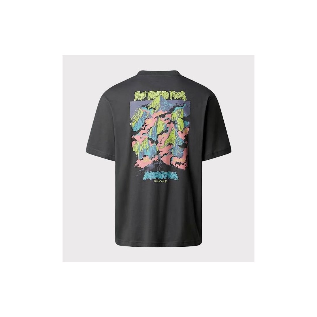 THE NORTH FACE EXPED CELBR TEE GRIS
