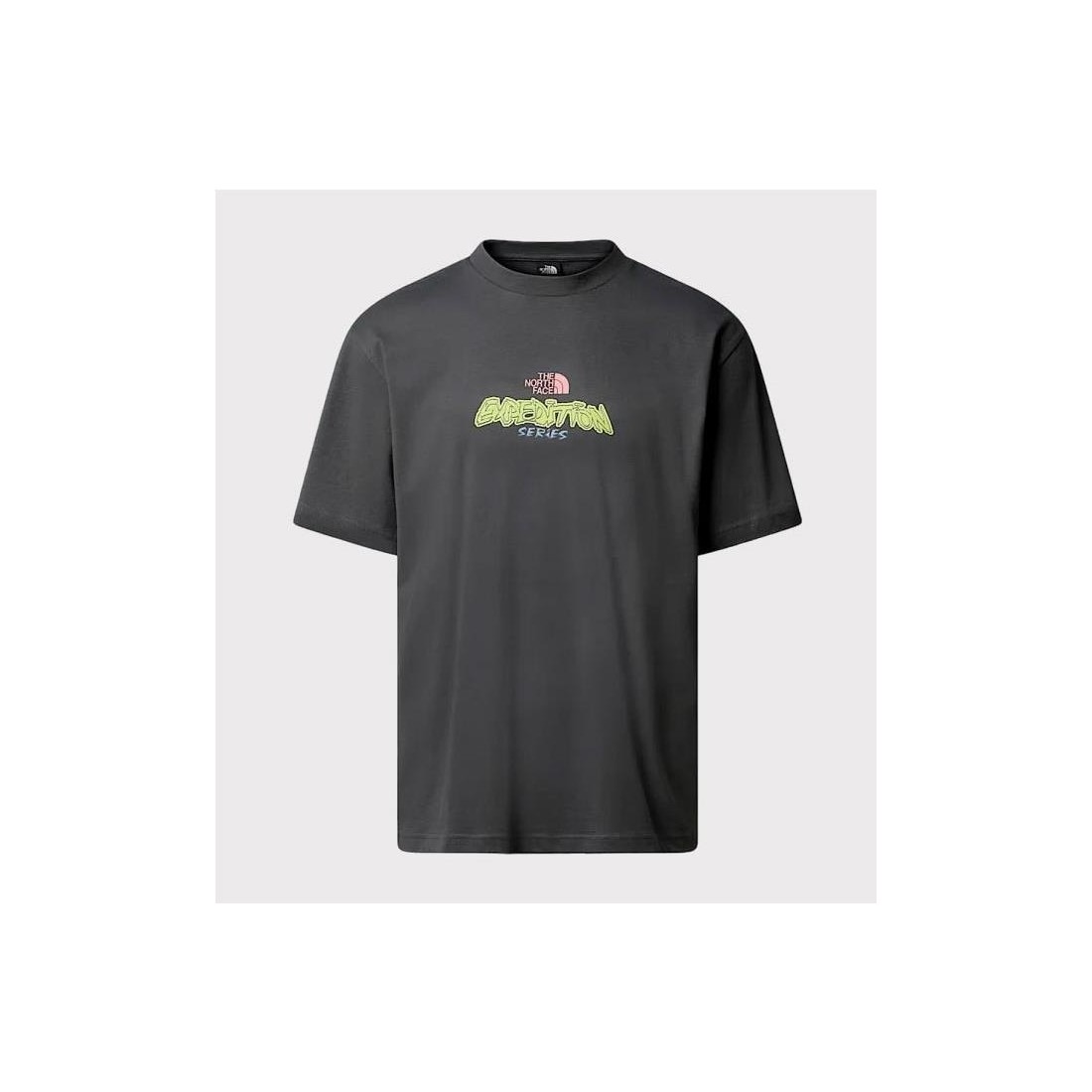 THE NORTH FACE EXPED CELBR TEE GRIS