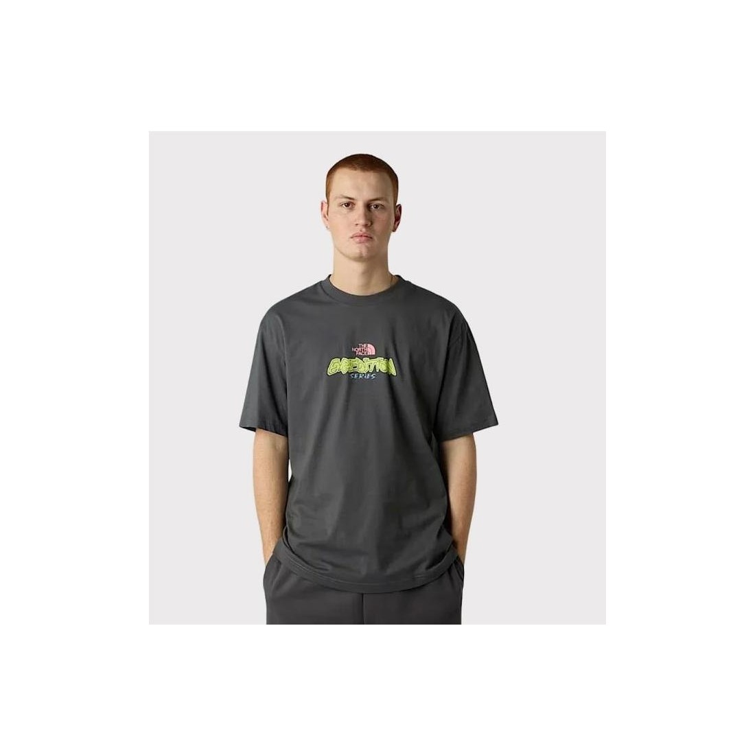THE NORTH FACE EXPED CELBR TEE GRIS