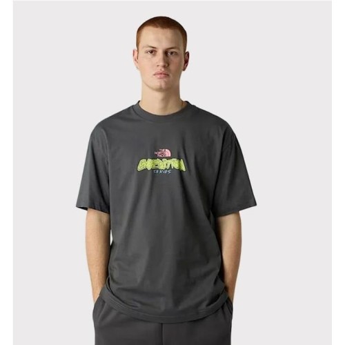 THE NORTH FACE EXPED CELBR TEE GRIS